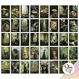 97 Decor Goblincore Room Decor - 40 Pcs Goblin Core Posters For Room Aesthetic Cottagecore Wall Decor, Cottage Core Wall Art Earthy Mushroom Collage Nature Decor For Bedroom Dorm Decorations (4x6)