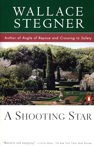 A Shooting Star view 2