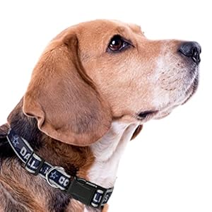 Pets First NFL New York Jets Licensed PET Collar Strong, and Durable Dog Collar. Available in 31 Football Teams and 4 Sizes