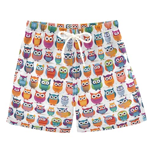 ALAZA Funny Owl Bird Owlet Boys Quick Dry Beach Board Shorts Kids Swim Trunks Bathing Suit Swimsuit 2T Multicolor