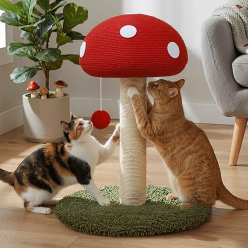 BOWHAUS Mushroom Cat Scratching Post Mushroom Cat Scratcher with Sisal Rope and Interactive Hanging Ball 20 Inch Scratching Post for Indoor Cats and Kittens