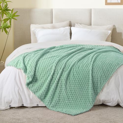 Image of BEDELITE Mint Green Twin Blanket for Couch, Soft Cozy Gift for Women, 60*80