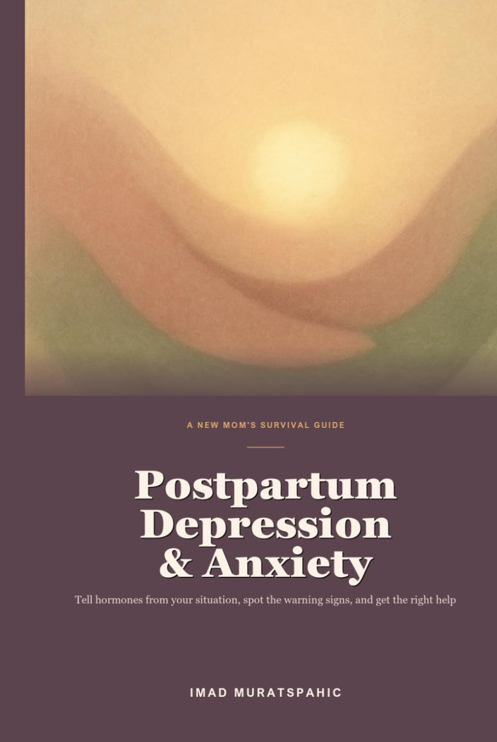 Postpartum Depression and Anxiety: A New Mom's Guide to PPD, PPA, Postpartum Rage, Warning Signs, and Getting the Right Help — With a Partner's Playbook
