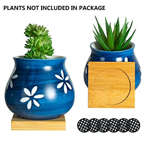 Cute Succulent Pots with Drainage Bamboo Tray - 3" Succulent Planters with Drainage Hole Ceramic Planter Tiny Pots for Indoor Small Plants, Small pots for Succulents Cactus Container Set of 6 by YINUOWEI - Image 3