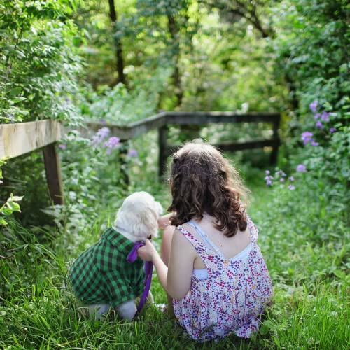 IECOii Dog Shirt, Classic Green Plaid Dog T-Shirt, Green Buffalo Dog Summer Clothes with Buttons Closure, Two-Legged Dog Cat Cardigan for All Seasons, Soft Breathable Pet Clothes for Cats Small Dogs - Image 3