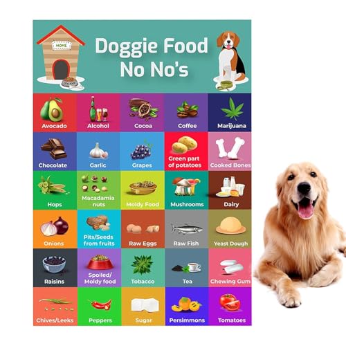 Sichere Hundediät – Sicherheitsratgeber mit 30 Lebensmitteln, bunter Magnet-Sicherheitsliste | Fütterungstabelle für Hunde, Tabelle mit Nahrungsmitteln, die Hunde nicht essen sollten, Bilder von Gesun