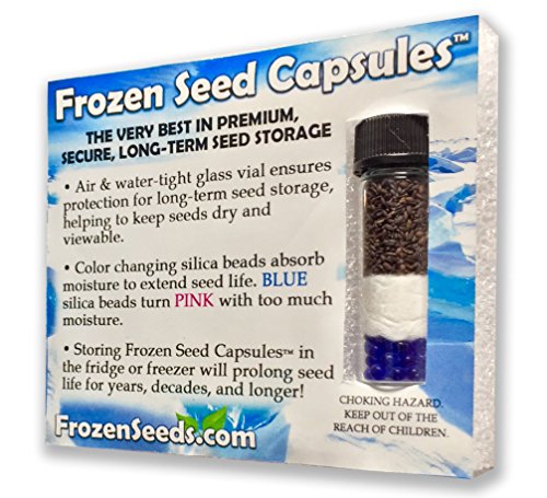 Anise Hyssop Seeds (Agastache Foeniculum) 50+ Rare Heirloom Herb Seeds In Frozen Seed Capsules For The Gardener & Rare Seeds Collector - Plant Seeds Now Or Save Seeds For Years #TOP12
