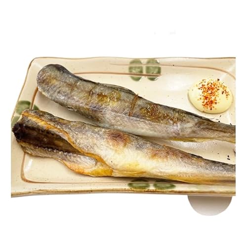 北海道産 訳あり 氷下魚 一夜干し 2kg こまい コマイ 魚 魚介類 白身魚 干物 ひもの 北海道 厚岸町