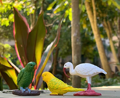 Birds Figure Animal Toys Set Birthday Cake Topper, Garden Decoration For Kids 10 Pcs Wildlife Figurines Animal Figures For Children For Party Favors, Gifts, Prizes, Rewards, Giveaways #TOP5