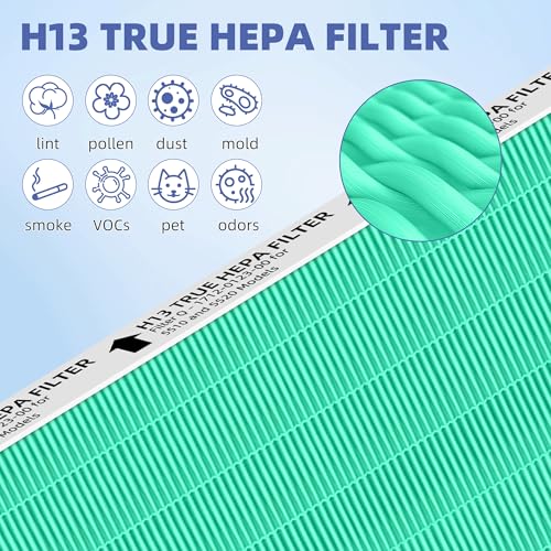 Image of 5510 5520 5530 HEPA Toxin Absorbe Air Purifier Filter Q Replacement for Winix 5510 5520 5530 Plasmawave Air Purifier H13 True HEPA Carbon Filter,# 1712-0123-00,2 Combon Set