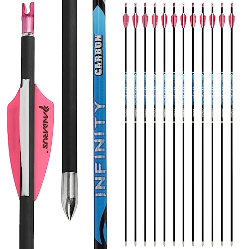 HNZMDY Archery Carbon Arrows Spine 200-1500 Hunting Arrows Competition Bow Arrows ID 4.2mm Target Arrows for Recurve Bow 12pack (Spine 1000, 12pcs)