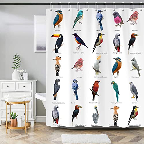 Zstrade Bird Shower Curtain, Colorful Vintage Bird Breed Bathroom Decor, Bird Print Design For Bathroom, Birds On Tree Branch Decorative Bath Curtain Polyester Waterproof Curtain With Hooks 69X72 #TOP5