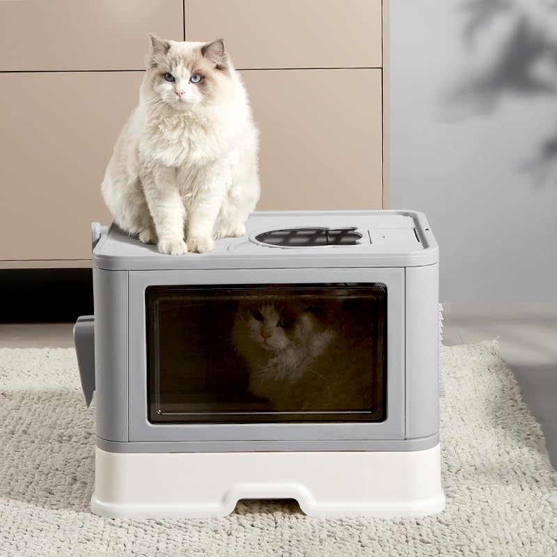 https://m.media-amazon.com/images/I/51VB378vvqL.jpg