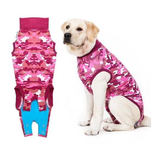 Professional Recovery Suit for Dogs