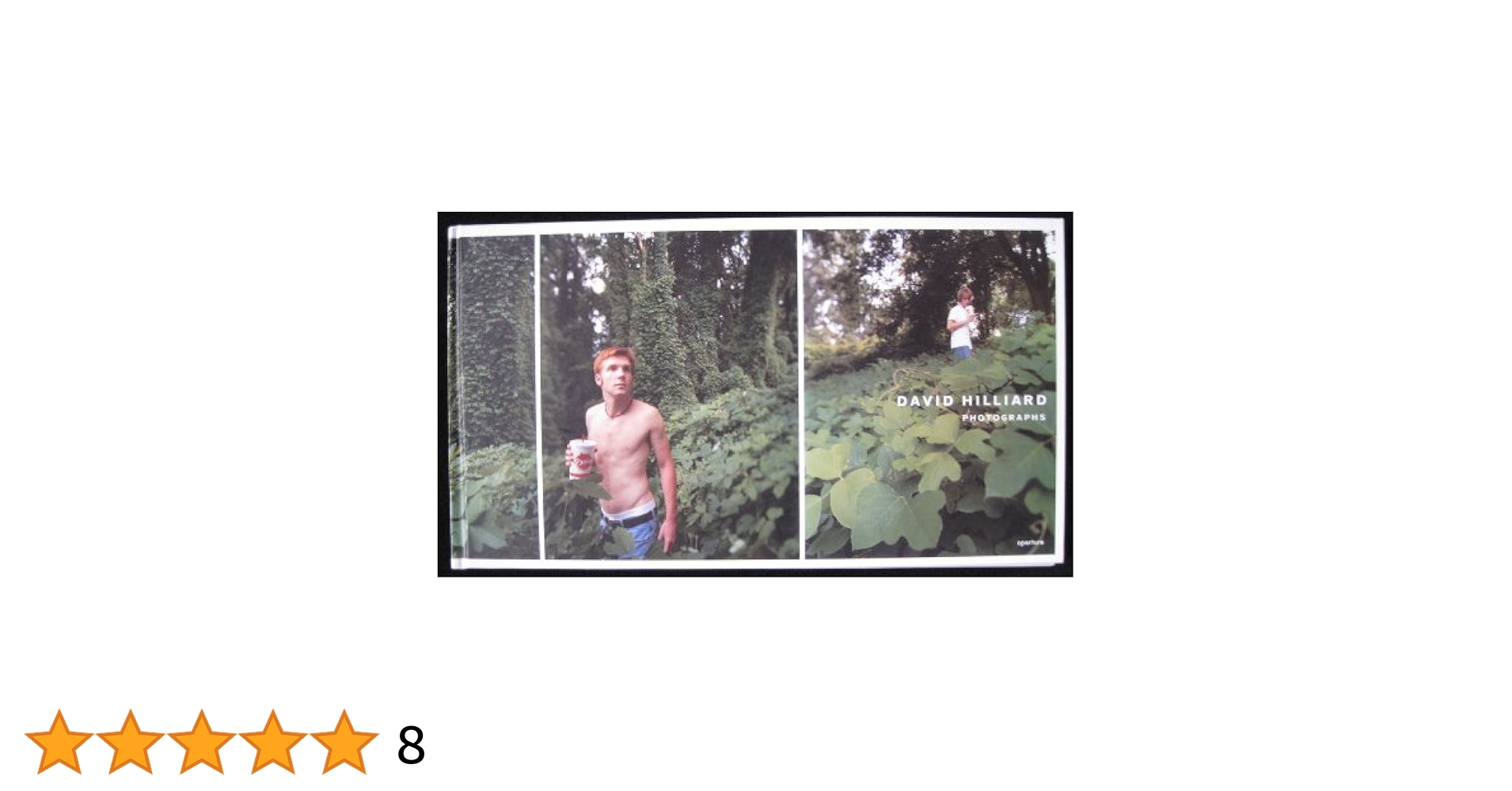 アート・デザイン・音楽 David Hilliard Photographs David Hilliard - Artists - Yancey Richardson