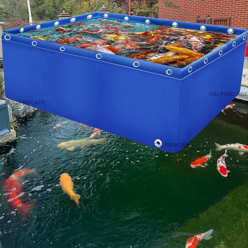 Réservoir d'eau d'aquaculture temporaire en toile PVC et cadre en acier pour poissons