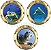 PPA DESIGN Sticker Mural Trompe l'oeil Hublot Tortue de Mer - Pack de 3 Hublots - Packhu015 - Plusieurs Dimensions Disponibles * (30x30cm)