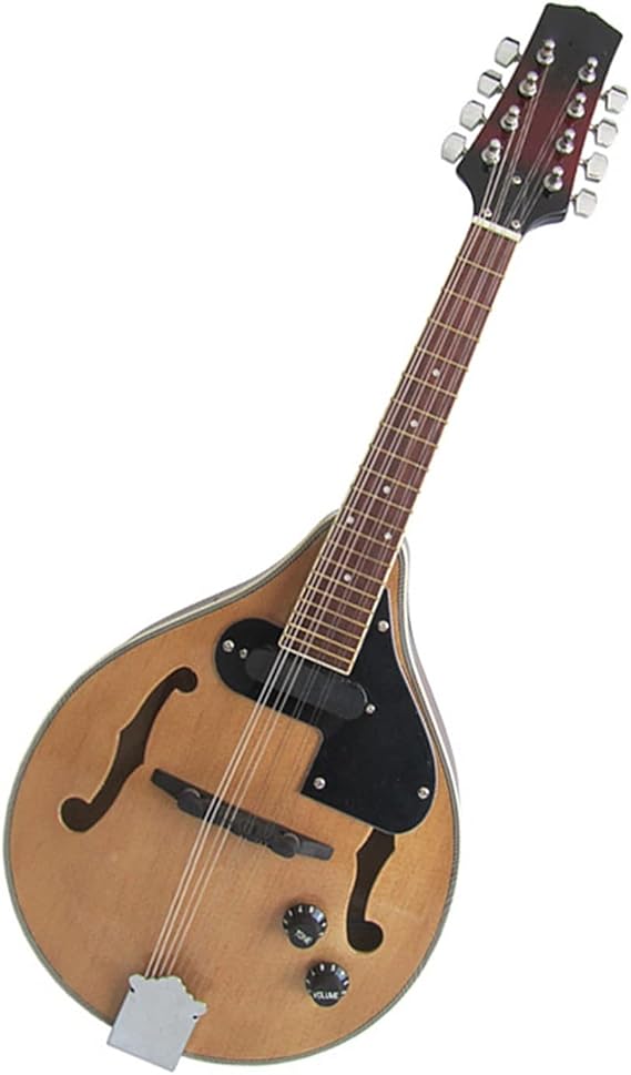 Electric Mandolin Electric Box Mandolin Musical Instrument Mandolin Mandolin Instrument for Beginner