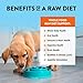Northwest Naturals Freeze-Dried Chicken & Salmon Dog Food - Bite-Sized Nuggets - Grain-Free, High-Protein, Raw Diet, Human-Grade, Limited Ingredients, All Natural, Omega-3 for Skin & Coat - 12 Oz