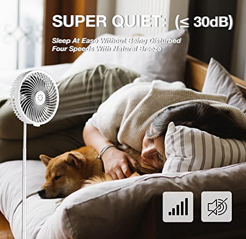 BC.HINGER Foldaway Oscillating Rechargeable Fan #TOP1