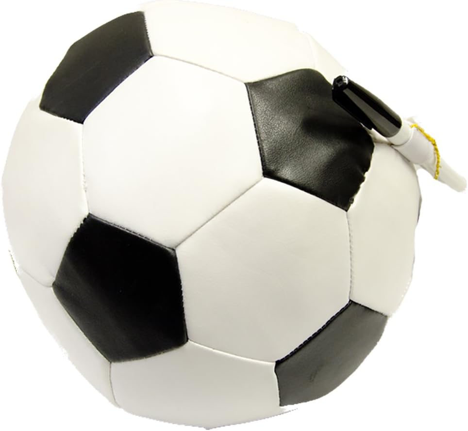 Soccer Ball,Basket Ball,Baseball, Autopgraph Pillow,Have you team and coaches sign this pillow!