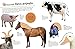 Ultimate Sticker Book: Farm: More Than 250 Reusable Stickers