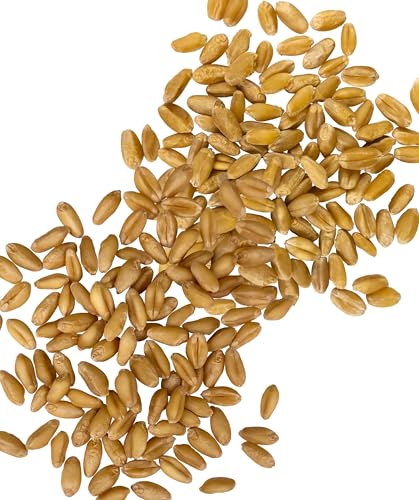 Image of Palouse Brand Certified Glyphosate Residue Free Hard White Wheat and Soft White Wheat Berries | 6 lbs | Non-GMO Project Verified | Kosher (3 lbs each)