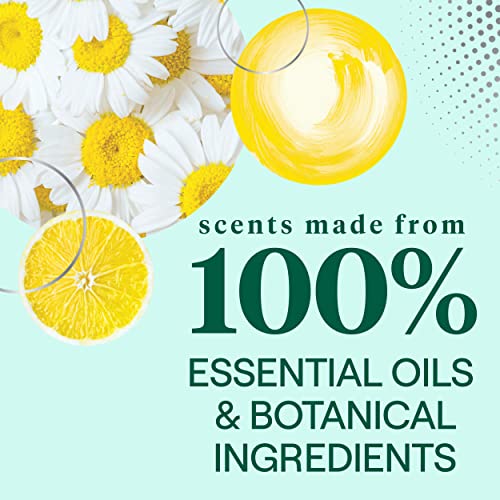 Seventh Generation All Purpose Cleaning Spray Surface Cleaner Lemon Chamomile Scent Cuts Grease 23 Oz, Pack Of 4 #TOP6