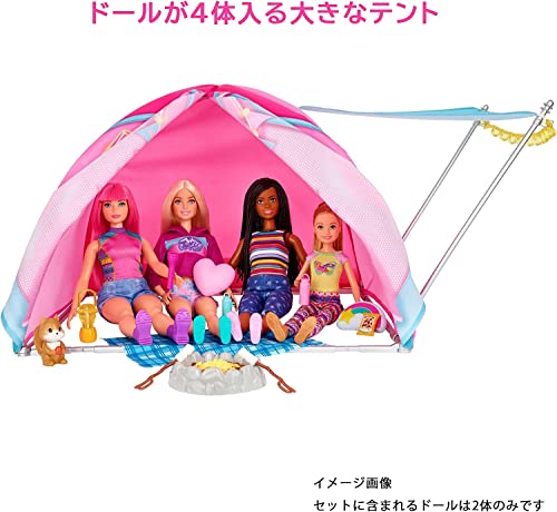Barbie Famille Coffret Camping avec 2 poupées Malibu et Brooklyn Tente et Accessoires Dont Figurines Animaux et téléscope Jouet pour Enfant HGC18 - vue 6