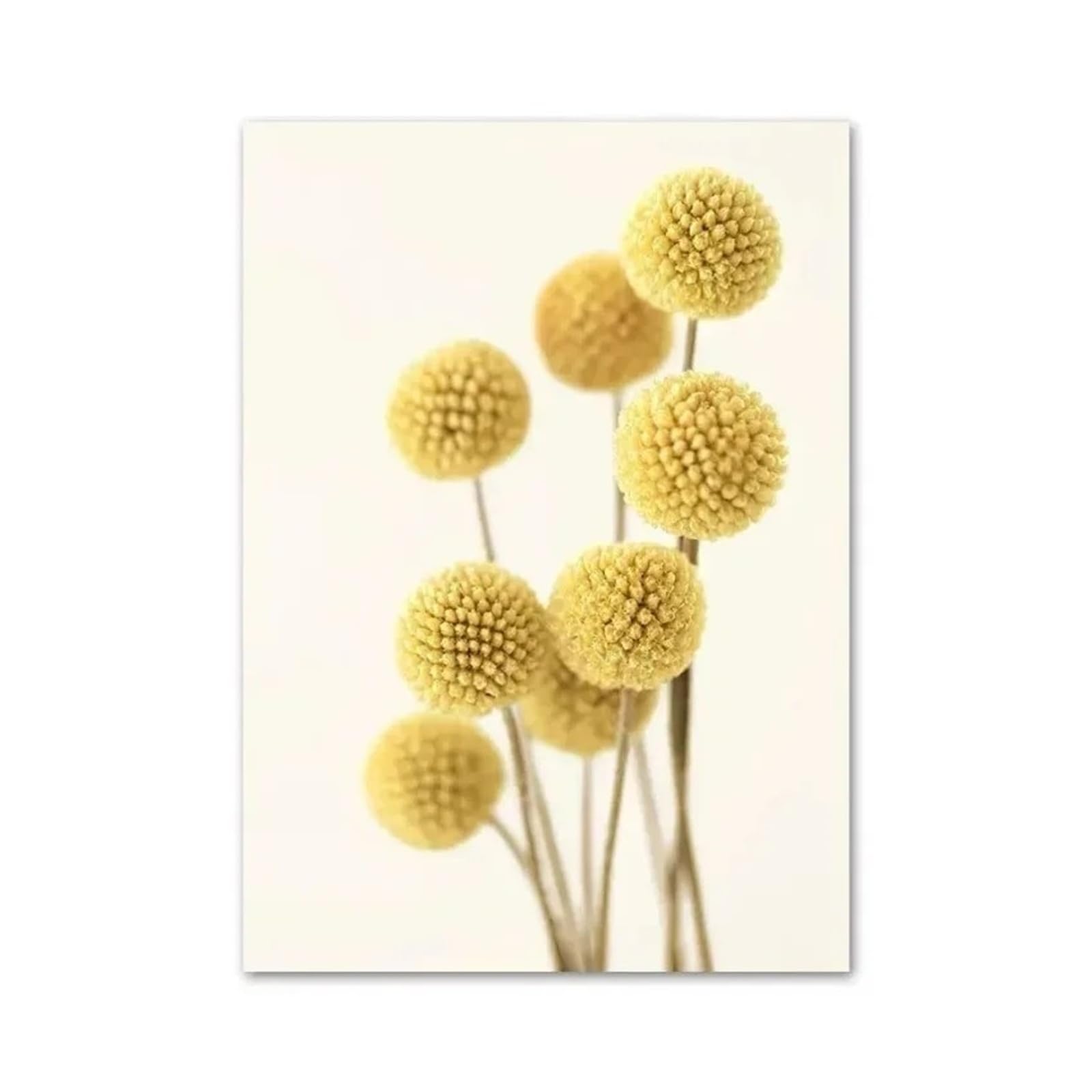 Xenite E Xenit Wall Art Canvas Prints Canvas Painting Yellow Dahlia Sunflower Orchid Butterfly Beig Wall Art Nordic Posters And Prints Pictures For Living Room Decor(,40X60cm)