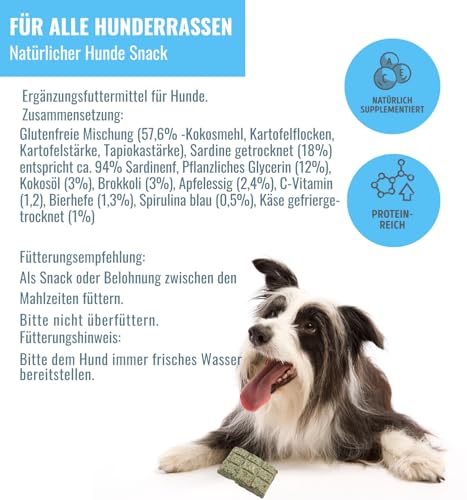 Superfood Hundekuchen Riegelbox 10× Super Sardine – Brokkoli, Spirulina, Kokosöl & Bierhefe – Proteinreich, glutenfrei & ofengebacken – Für Fell, Haut & Immunsystem – RiNa leckerer Hundekuchen