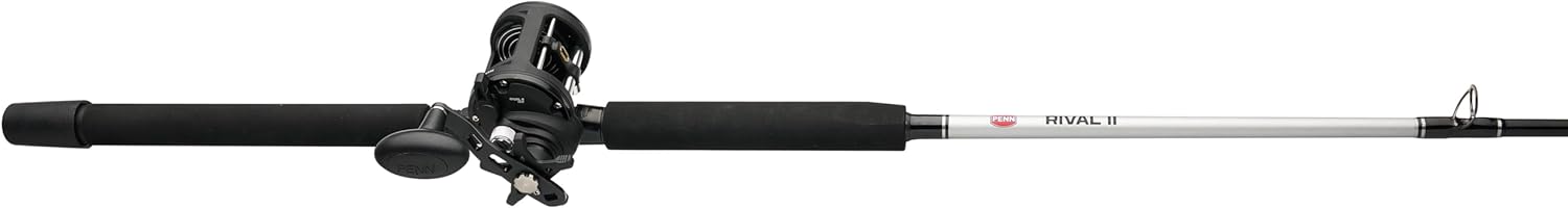 Penn Rival II Level Wind Conventional Rod and Reel Combo