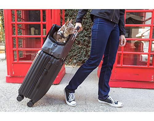 Sleepypod Atom transportín seguro que reduce el estrés de tu mascota 8
