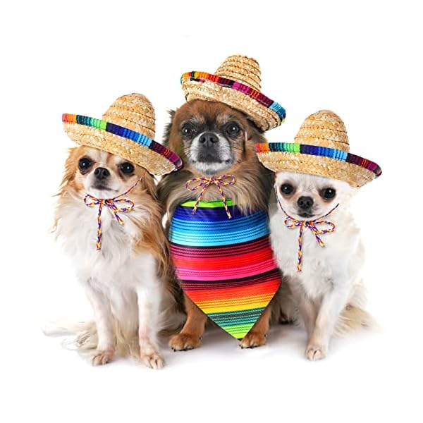 Dog sombrero hat multicolor sombrero hats straw mexican hat and dog bandana pet triangle bib costume for mexican cinco de mayo fiesta decorations - image 3