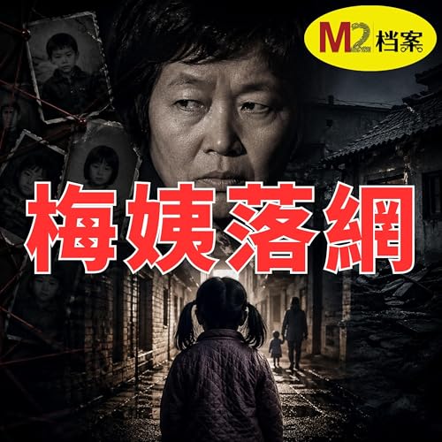 起底&ldquo;梅姨&rdquo;案，拐賣9名兒童只是冰山一角，揭秘人販子背後的重重黑幕｜M2檔案