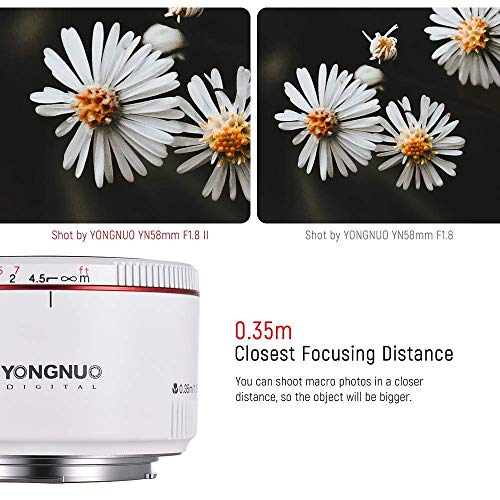Lente YONGNUO YN50MM F1.8 II para Canon DSLR con Difusor - Fernando Cortés Lente YONGNUO YN50MM F1.8 II para Canon DSLR con Difusor - Fernando Cortés