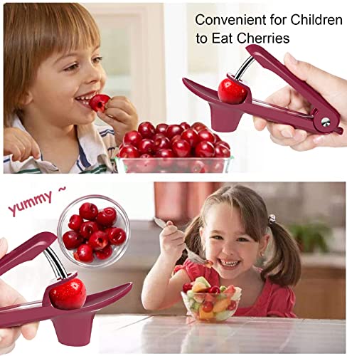 Cherry Pitter Tool, Quick Release Cherry Pitter Olive Pitter Tool Cherry Depitter Making Fresh Cherries,Cherries Jam,Cherry Seed And Stoner Remover Pitter Tool With Space-Saving Lock Design #TOP2
