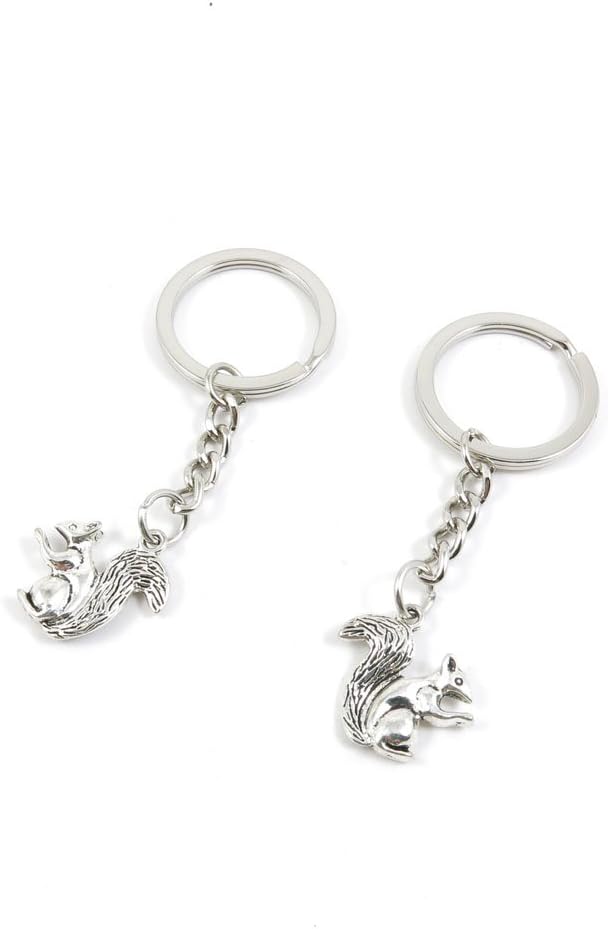 Keyrings Keychains Door Car Keys Rings Tags Chain Antique Silver Tone Bulk Lots E4NL2B Squirrel