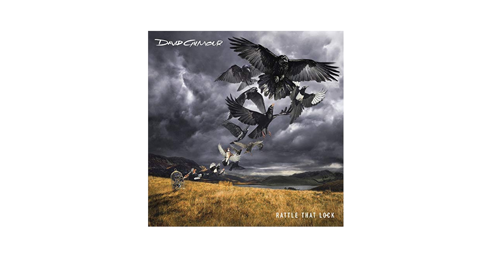 David Gilmour Rattle That Lock レコード LP David Gilmour - Rattle That Lock - Amazon.com Music