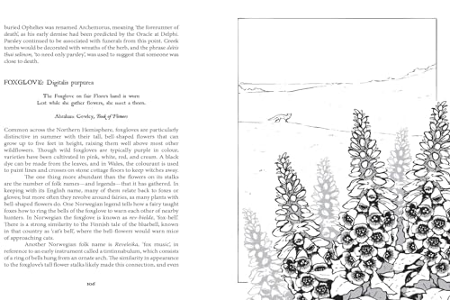 Botanical Curses and Poisons: The Shadow-Lives of Plants - Image 4