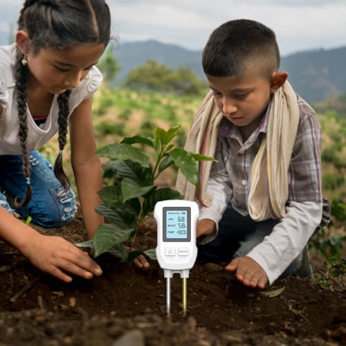 Apv | ϗtAxv - OŐ⎺A̓y됅xPH⏕