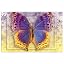 Butterfly 3