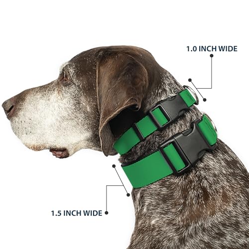 Collier pour chien anti-irritation Buckle-Down sangle large 3.8 cm