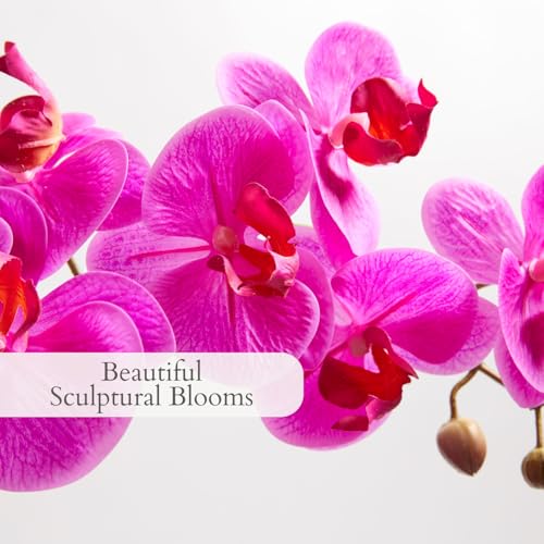 CG Hunter Faux Pink Orchid Plant, Premium Artificial Indoor Flower Display Stands 23-Inches with Beautiful Sculptural Blooms and Foliage That Lasts Forever, Grey Planter Pot Included - Image 4