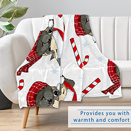 Couverture carlin lit et camping : plaid chaud polyvalent 150 x 100 cm - 7