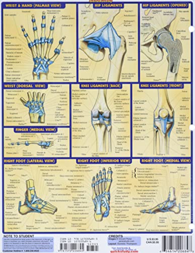 Joints-Ligaments-Quick-Study-Academic