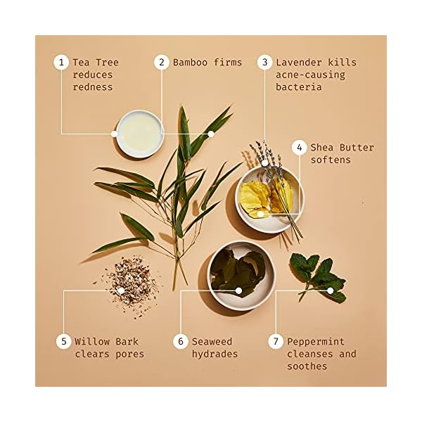 Botanic Tree Glycolic Acid Face Wash, Exfoliating Facial Cleanser and Scrub, 10% Glycolic Acid, AHA and Salicylic Acid, 6 fl. oz