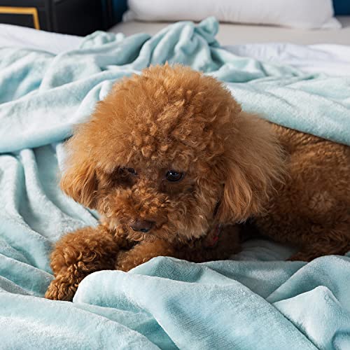 Onme Fleece Blanket, Full/Queen Size Blanket - Soft Lightweight Microfiber Cool Blanket For Sofa, Couch, Bed, Camping, Travel, 90"X90" Light Green #TOP5