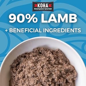 KOHA Limited Ingredient Diet Lamb Entrée for Dogs – Grain Free Wet Dog Food with No Fillers – Canned Dog Food Sensitive Stomach – 13 oz Pack of 12