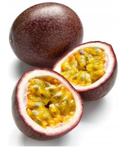 MARACUJA PÜREE Passions-Frucht-Püree Premium 1KG für Desserts-Smoothie-Bowl-Quark-Getränke-Sorbet-Gelée Passionsfrucht Premium Puree, Fruchtmark